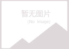 阳朔县夏岚批发有限公司